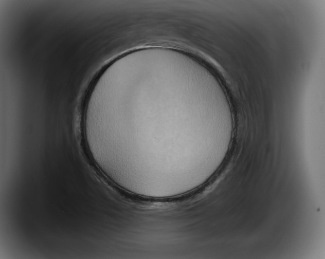 X0000087511506200705251608