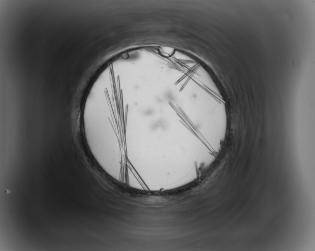 X0000087511507200705251608