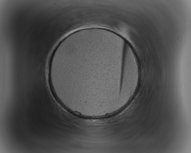 X0000087511508200705251608