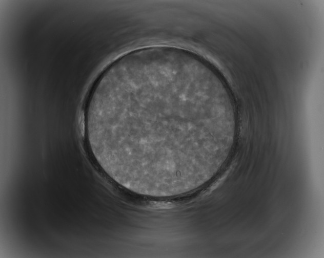 X0000087511509200705251608