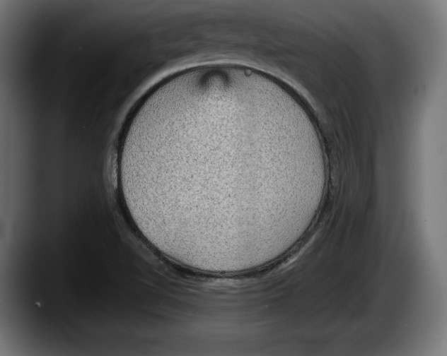 X0000087511510200705251608