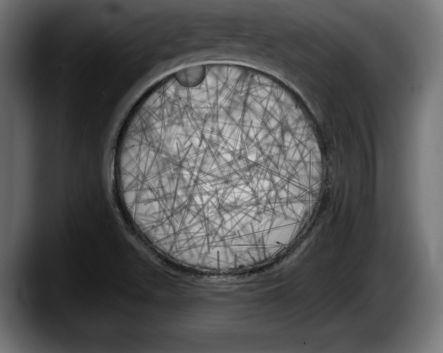 X0000087511511200705251608