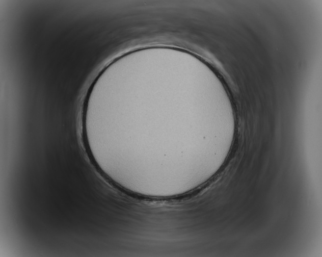 X0000087511512200705251608