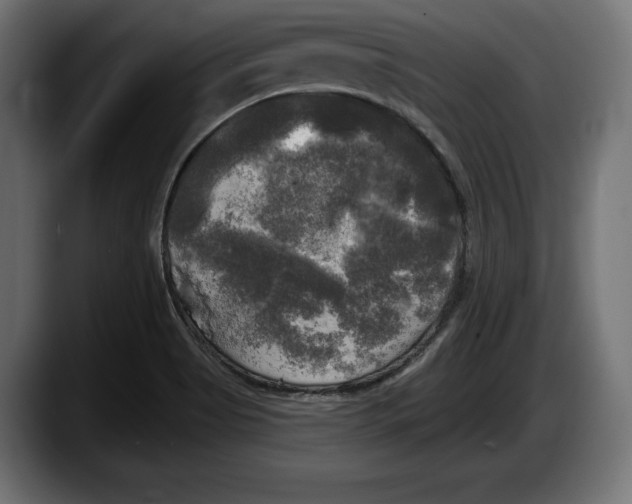 X0000087511513200705251608