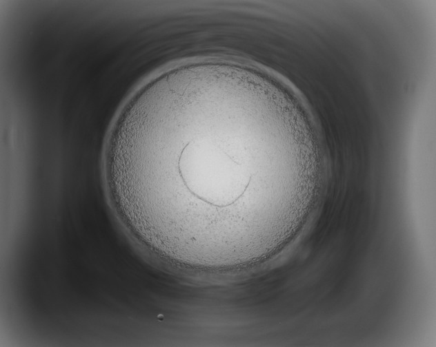 X0000087511514200705251608