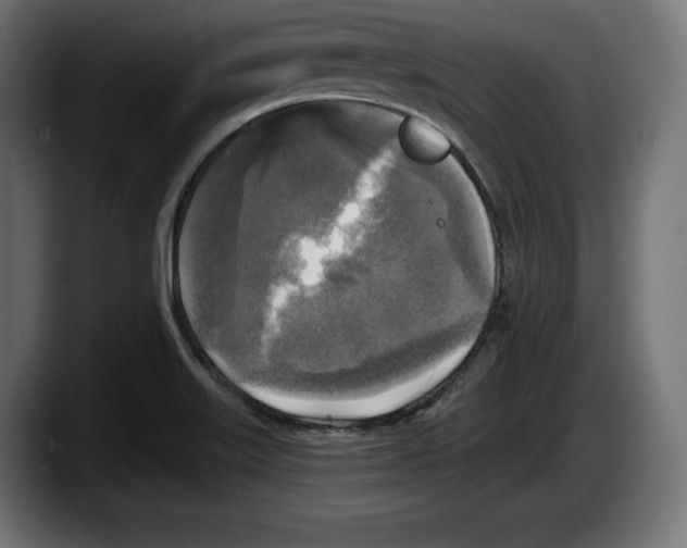 X0000087511515200705251608