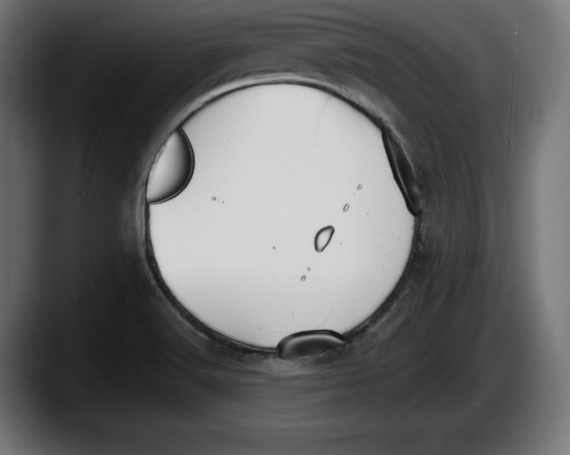 X0000087511516200705251608