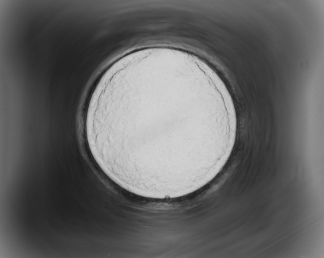 X0000087511517200705251608