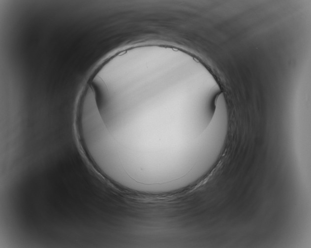 X0000087511518200705251608