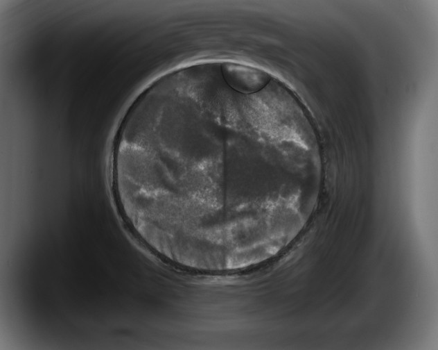 X0000087511519200705251608