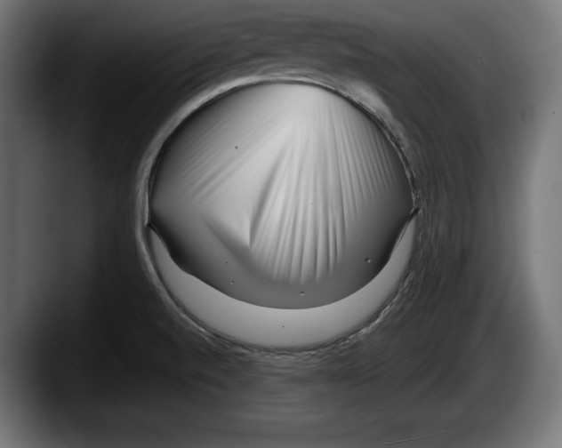 X0000087511520200705251608