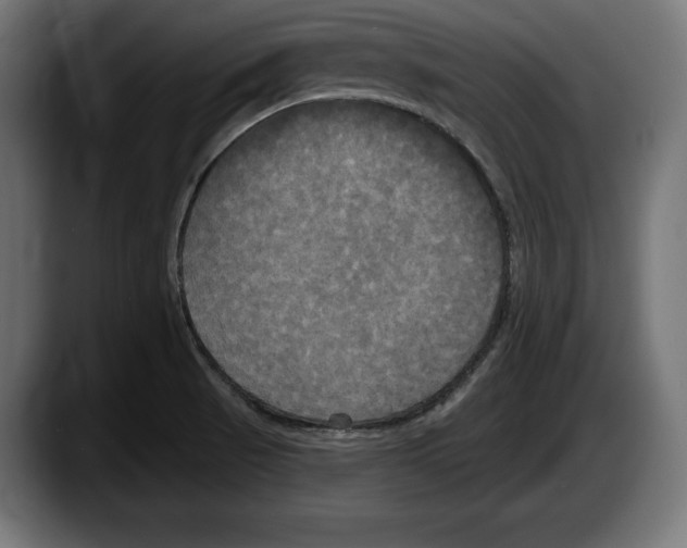 X0000087511521200705251608