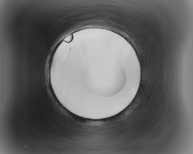 X0000087511522200705251608