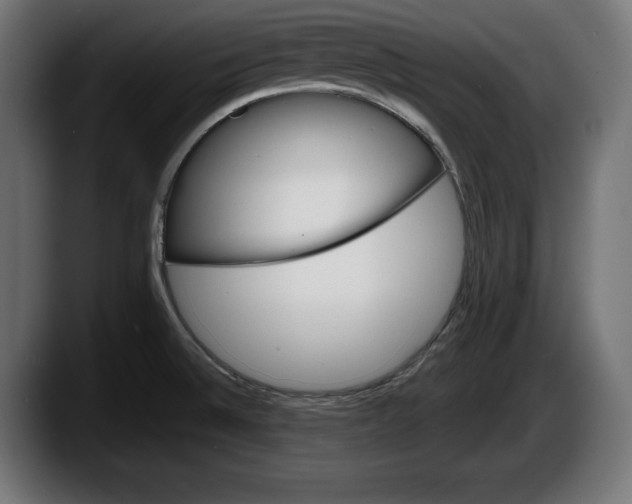 X0000087511524200705251608