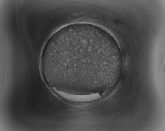 X0000087511525200705251608