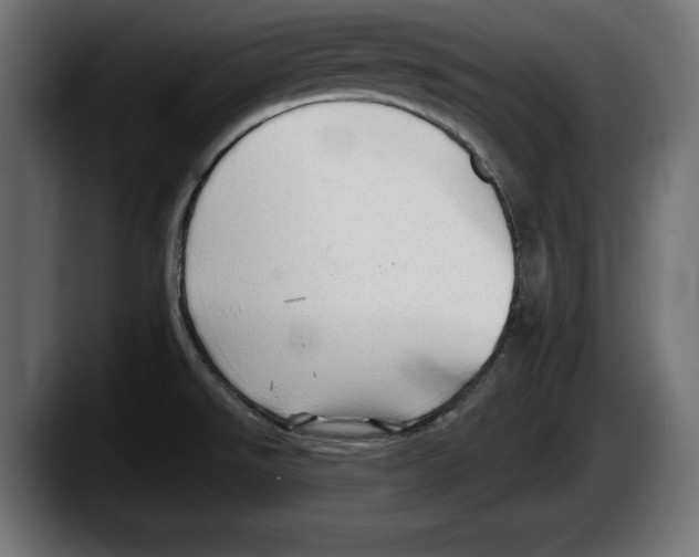 X0000087511526200705251608