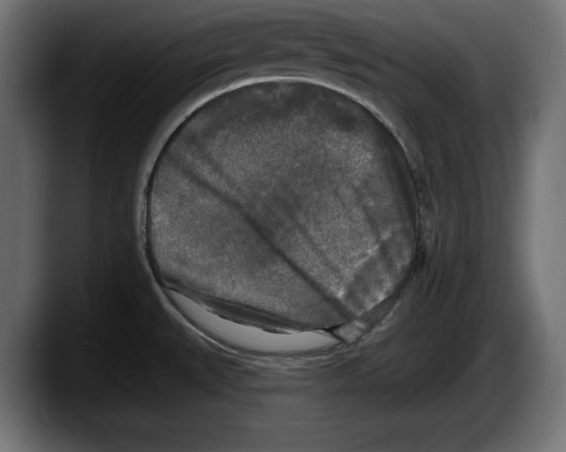 X0000087511527200705251608