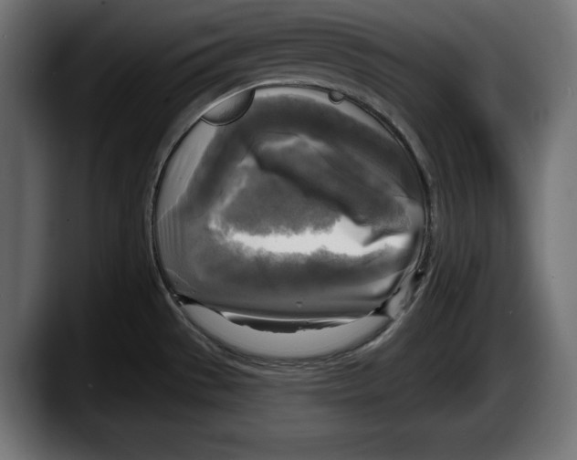 X0000087511529200705251608