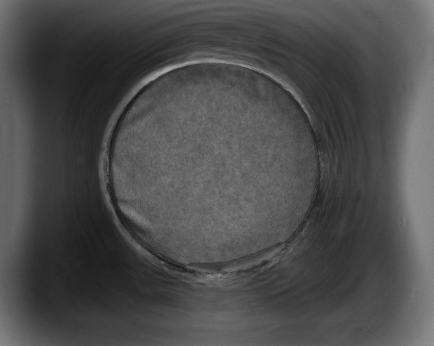 X0000087511531200705251608