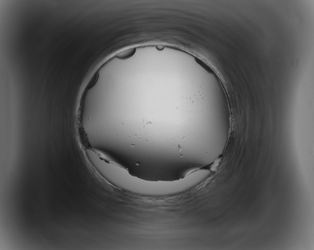 X0000087511532200705251608