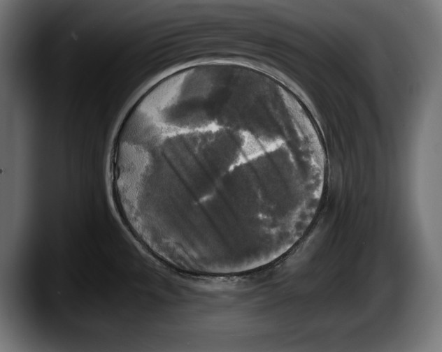 X0000087511533200705251608