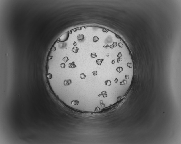 X0000087511534200705251608