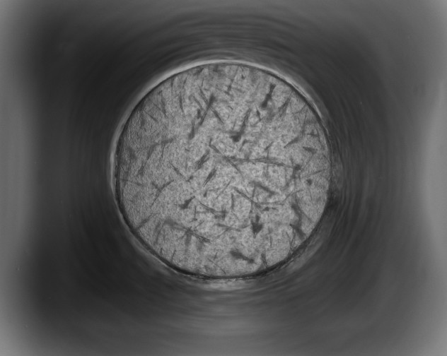 X0000087511535200705251609