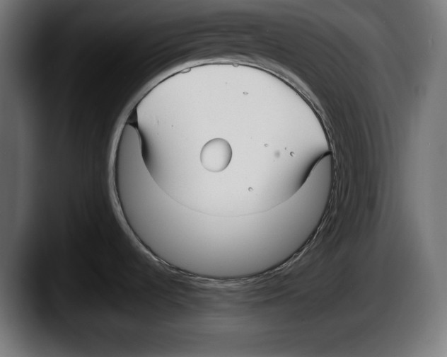 X0000087511536200705251609