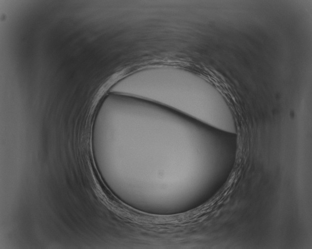 X0000087520003200704270830