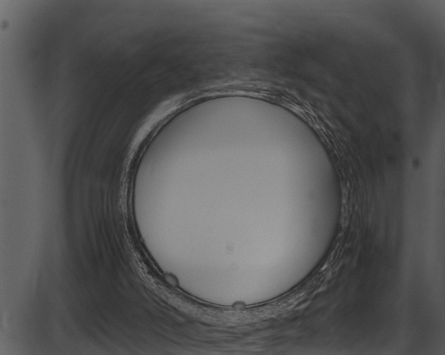 X0000087520006200704270830