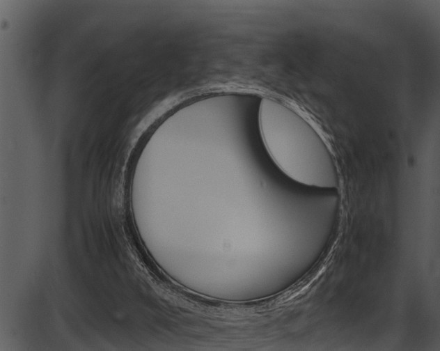 X0000087520008200704270830