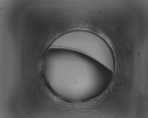 X0000087520009200704270830