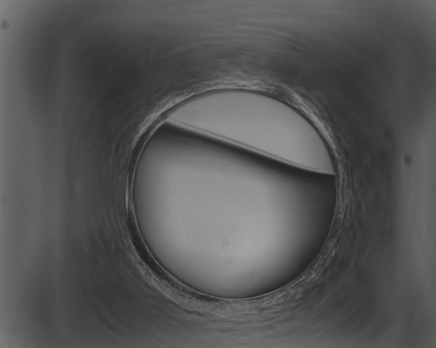X0000087520011200704270830