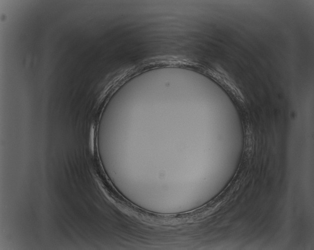 X0000087520014200704270830