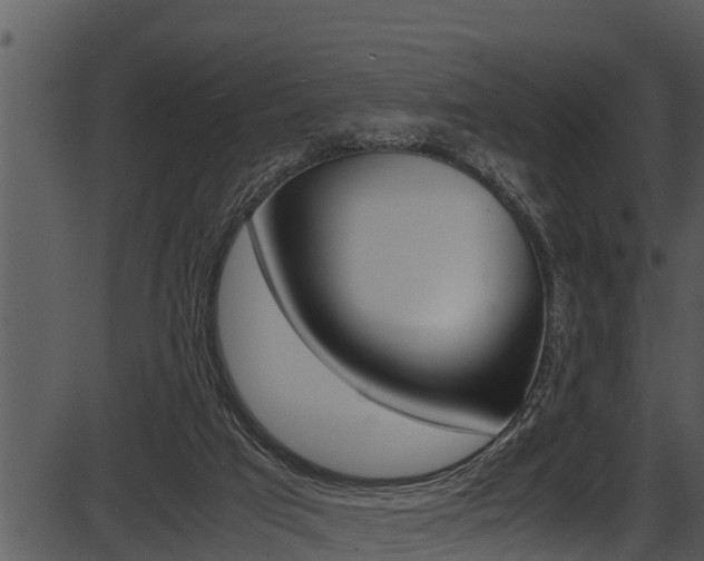 X0000087520017200704270830