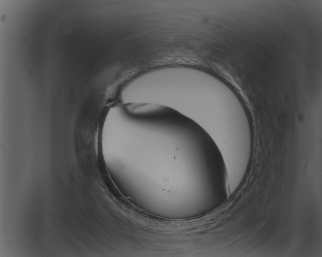 X0000087520019200704270830