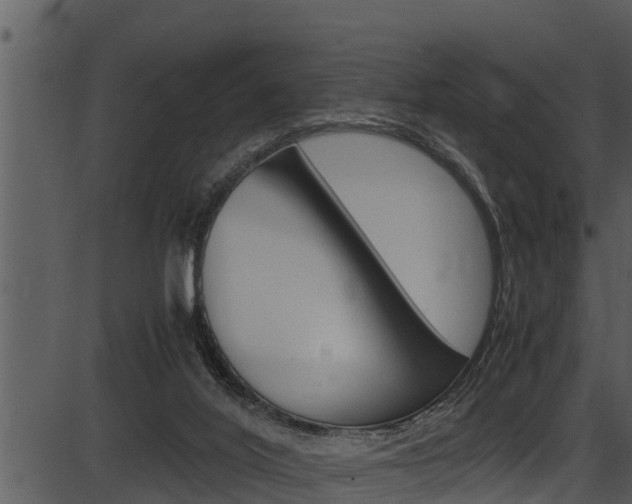 X0000087520020200704270830