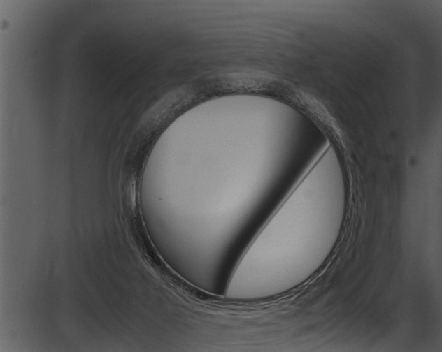 X0000087520021200704270830