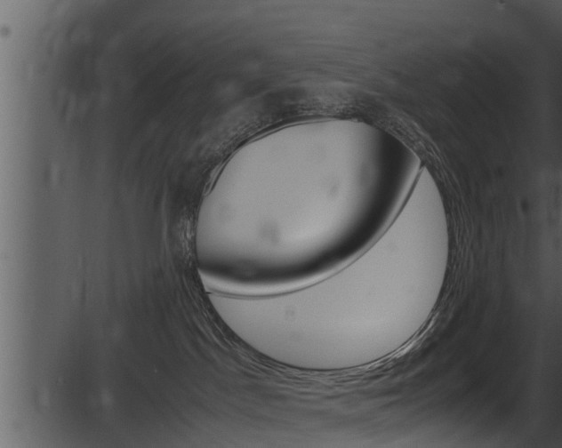 X0000087520045200704270830