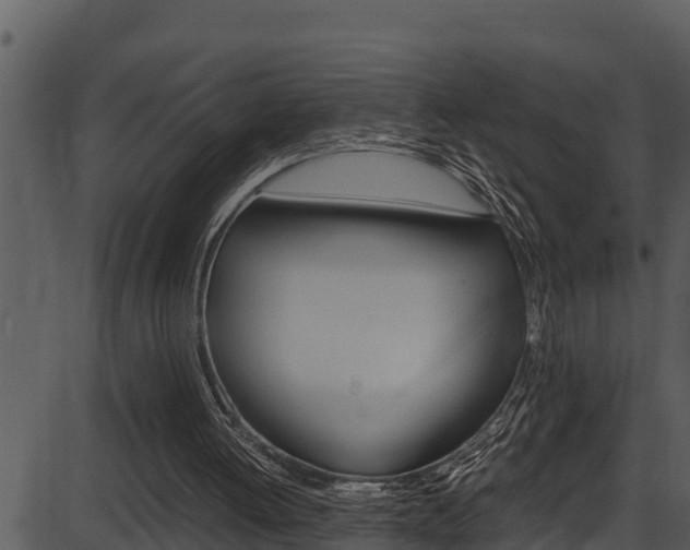 X0000087520052200704270829