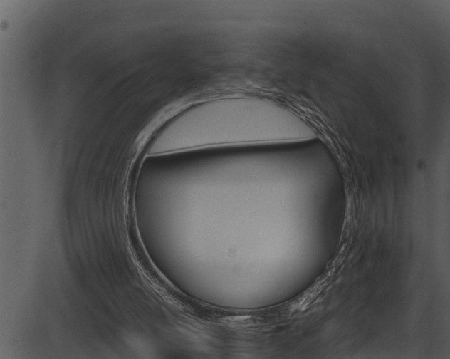 X0000087520054200704270829