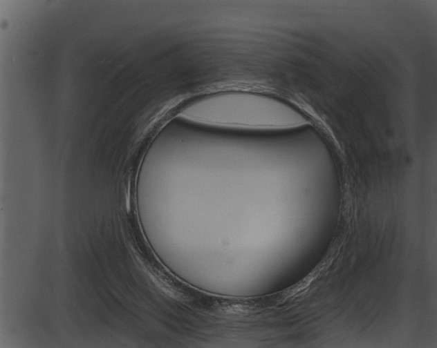 X0000087520062200704270829