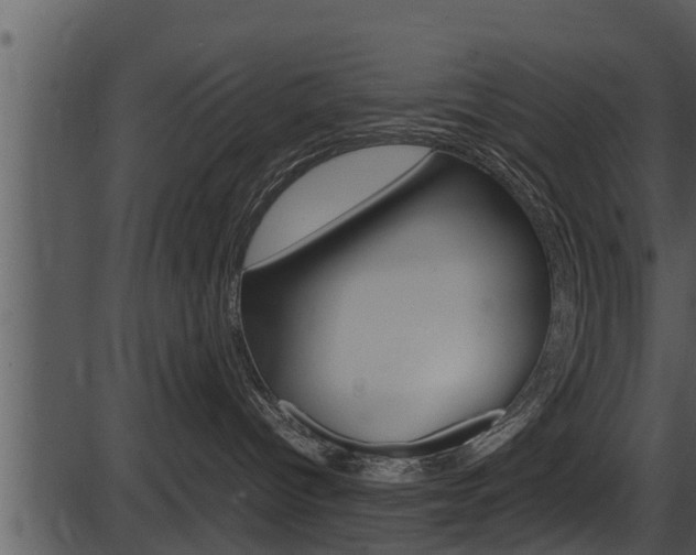 X0000087520096200704270830