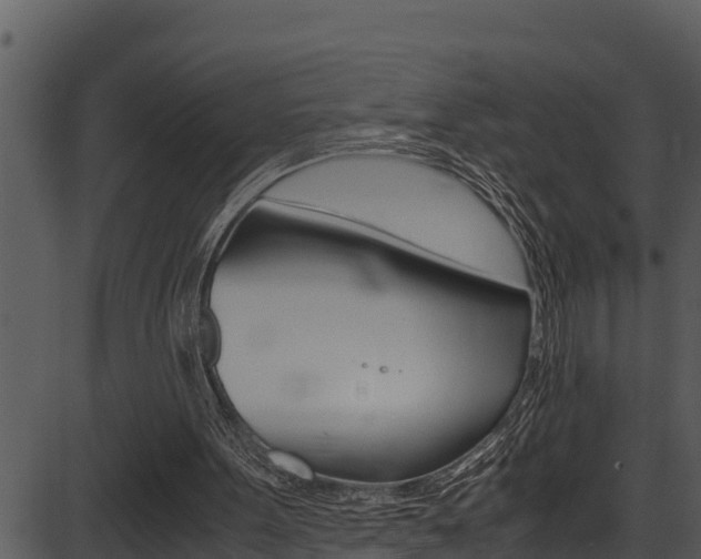 X0000087520099200704270829