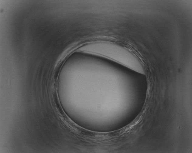 X0000087520101200704270829