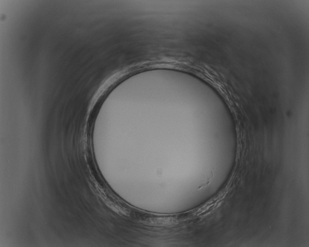 X0000087520102200704270829