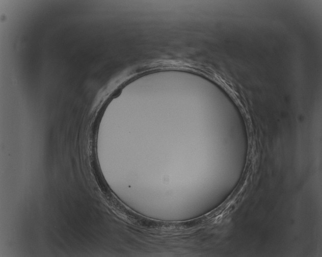X0000087520103200704270829
