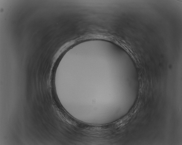 X0000087520104200704270829