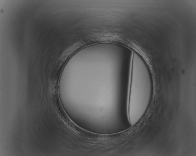 X0000087520105200704270829