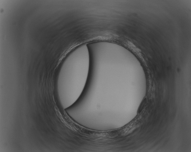 X0000087520106200704270829